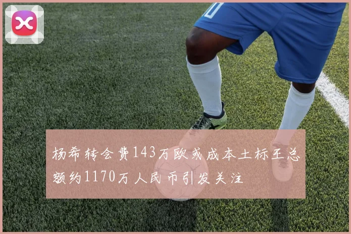 杨希转会费143万欧或成本土标王总额约1170万人民币引发关注